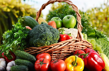 Vegetable
